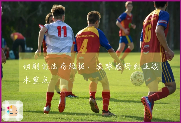 切削打法存短板，发球成玛利亚战术重点