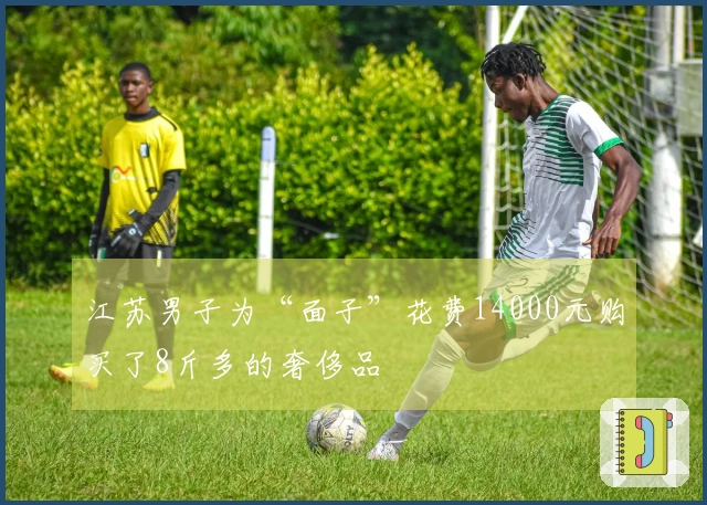 江苏男子为“面子”花费14000元购买了8斤多的奢侈品